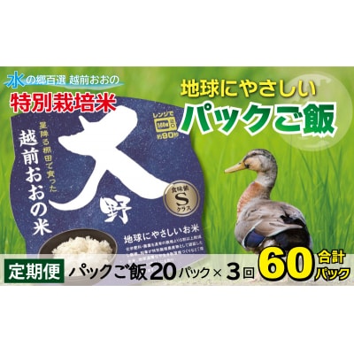 【3ヶ月定期便】地球にやさしいパックご飯 20食入り【白米】× 3回　計60食