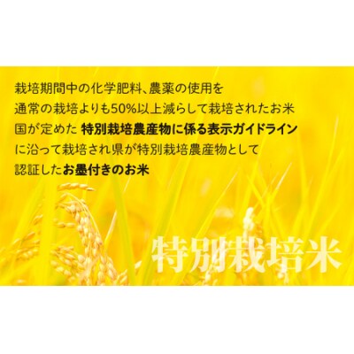 地球にやさしいパックご飯 30食入り【白米】「特別栽培米」-地球にやさしいお米-
