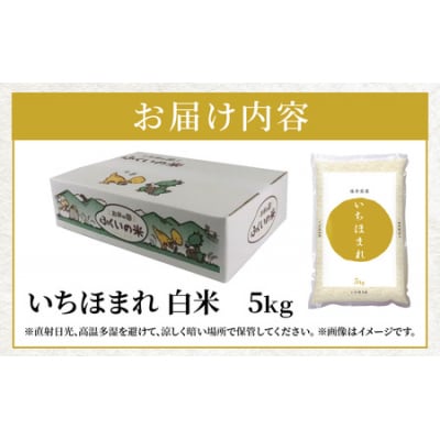 【令和7年産】福井県産 いちほまれ(白米)5kg