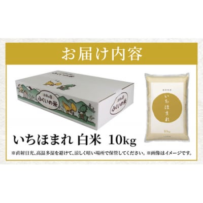 【令和7年産】福井県産 いちほまれ(白米)10kg