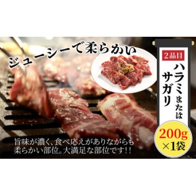 大野市の老舗焼肉店 六間星山の「秘伝のタレ漬け焼肉福袋」計1kg(冷凍)