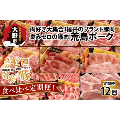 【肉の定期便×12回コース】肉好き大集合!臭みゼロの豚肉「荒島ポーク」食べ比べ 定期便!