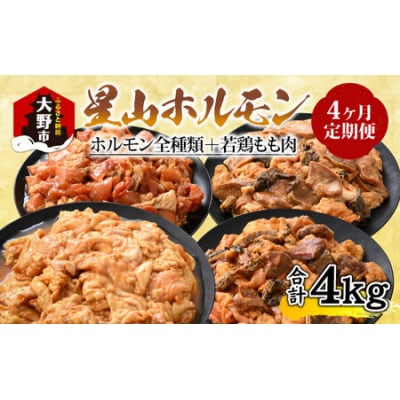 【4ヶ月定期便】【全国ホルモン大会初代優勝】星山ホルモン　ホルモン全種類+若鶏もも肉定期便セット