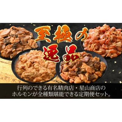 【4ヶ月定期便】【全国ホルモン大会初代優勝】星山ホルモン　ホルモン全種類+若鶏もも肉定期便セット