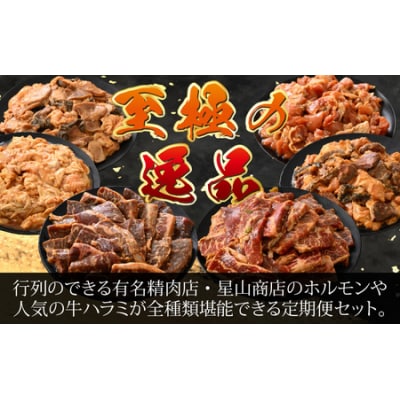 【6ヶ月定期便】【全国ホルモン大会初代優勝】星山ホルモン　ホルモン全種、牛ハラミ、他の定期便セット