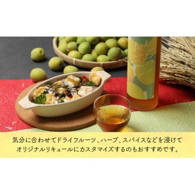 花垣 純米の梅酒 FEEL 500ml