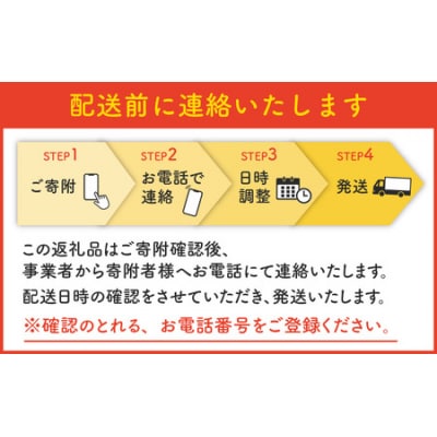 フルーツ店の店主が厳選!「季節のフルーツサンド5個セット」【配達地域限定】
