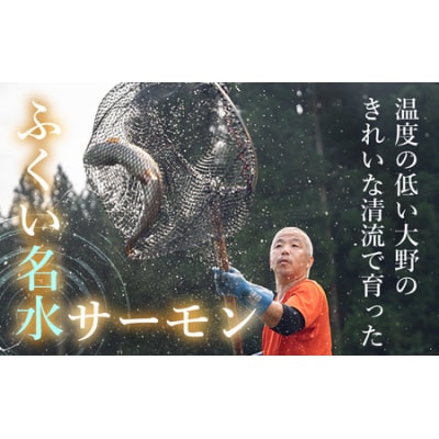 【希少】福井県大野市産 ふくい名水サーモン 片身 約600g(生食・加熱用)真空冷凍 