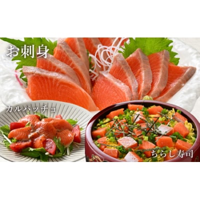 【3ヶ月定期便】【希少】福井県大野市産ふくい名水サーモン 300g(刺身用)150g×2パック×3回