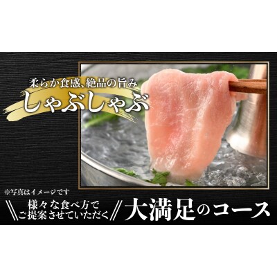 【肉の定期便×3回コース】肉好き大集合!国産豚肉「荒島ポーク」食べ比べ 定期便!