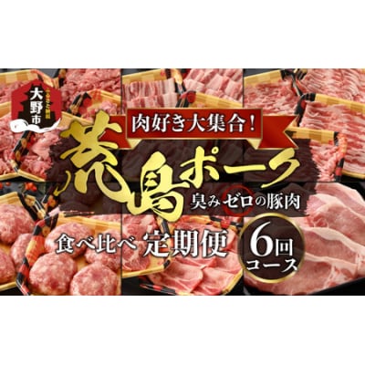 【肉の定期便×6回コース】肉好き大集合!臭みゼロの豚肉「荒島ポーク」食べ比べ 定期便!