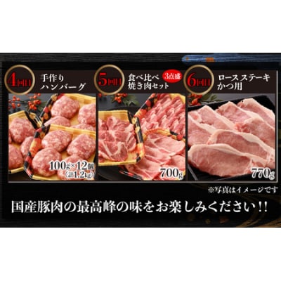 【肉の定期便×6回コース】肉好き大集合!臭みゼロの豚肉「荒島ポーク」食べ比べ 定期便!