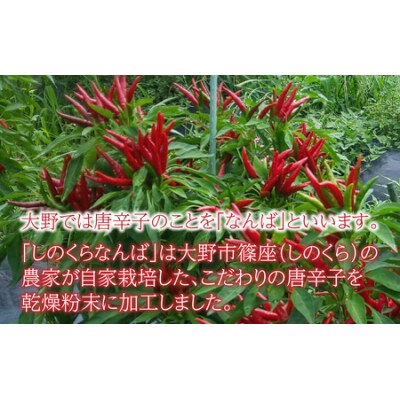 【道の駅人気商品】しのくらなんば3本セット