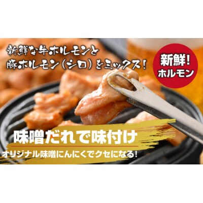 越前大野名物 大美のとんちゃん(ホルモン) 味噌ダレ 900g(300g × 3パック)