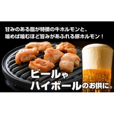 越前大野名物 大美のとんちゃん(ホルモン) 味噌ダレ 900g(300g × 3パック)