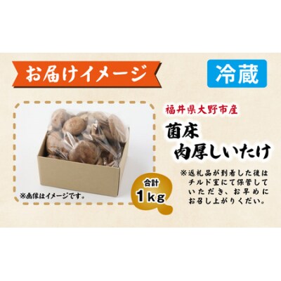 菌床肉厚しいたけ(福井県大野市産)1kg