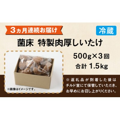 【3ヶ月定期便】菌床肉厚しいたけ(福井県大野市産)500g×3回 計1.5kg