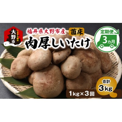 【3ヶ月定期便】菌床肉厚しいたけ(福井県大野市産)1kg×3回 計3kg