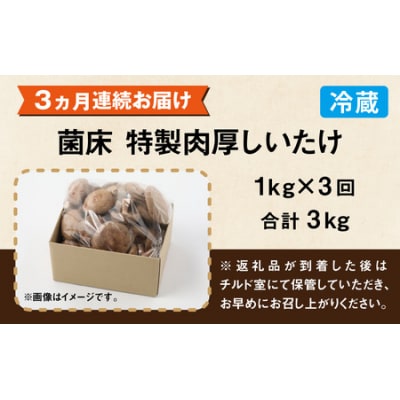 【3ヶ月定期便】菌床肉厚しいたけ(福井県大野市産)1kg×3回 計3kg