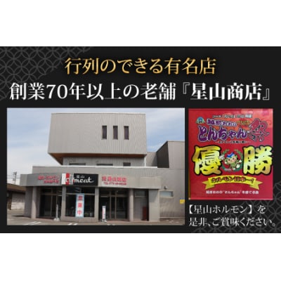 【全国ホルモン大会初代優勝】星山ホルモン 食べ比べセット 2.4kg(白・ミックス各300g×4袋)