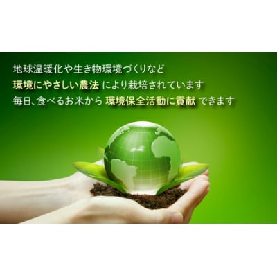 地球にやさしいパックご飯 10食入り【玄米】　減農薬・減化学肥料 「特別栽培米」-地球にやさしいお米