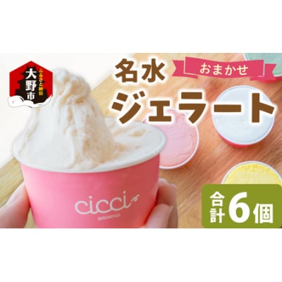 越前大野の「名水ジェラート」おまかせ 6個セット
