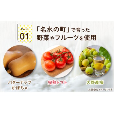 越前大野の「名水ジェラート」おまかせ 6個セット