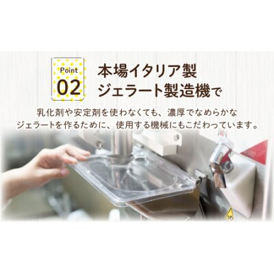 越前大野の「名水ジェラート」おまかせ 6個セット
