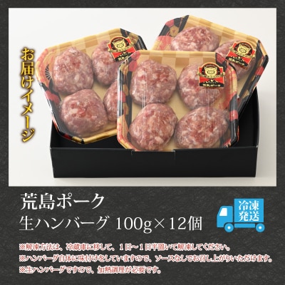 【福井のブランド豚肉】荒島ポーク 手作りハンバーグ100g×12個(計1.2kg)