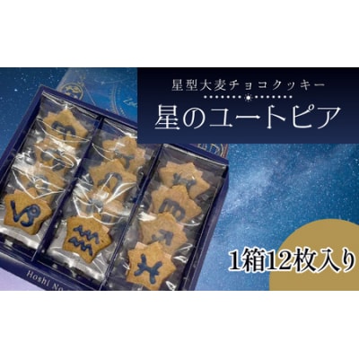 星のユートピア(大麦チョコクッキー)