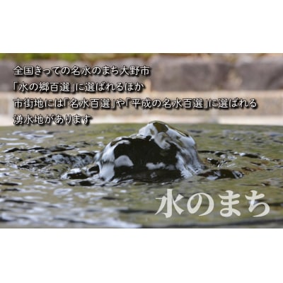 【令和7年産 新米】こしひかり(福井県大野市産)エコファーマー米(白米)5kg