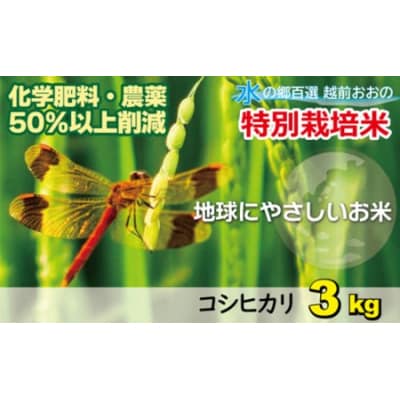 【令和7年産 新米】こしひかり(福井県大野市産)福井県特別栽培米 3kg【白米】