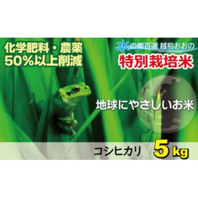 �y�ߘa7�N�Y�z�����Ђ���(���䌧���s�Y)���䌧���ʍ͔|�� 5kg�y���āz