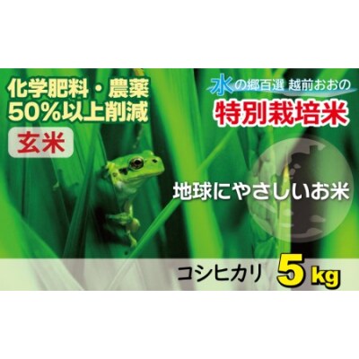 【令和7年産】こしひかり 5kg【玄米】減農薬・減化学肥料 「特別栽培米」