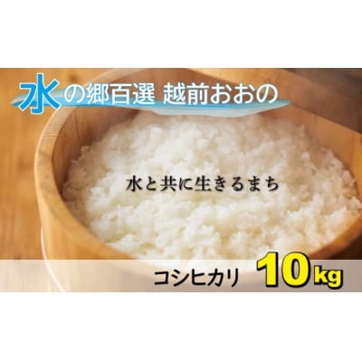 【令和7年産 新米】こしひかり(福井県大野市産)エコファーマー米(白米)10kg(5kg×2袋)
