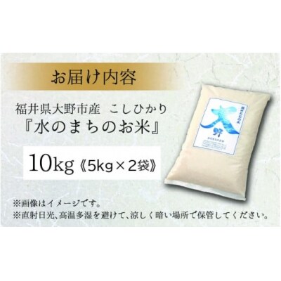 【令和7年産】こしひかり(福井県大野市産)エコファーマー米(白米)10kg(5kg×2袋)