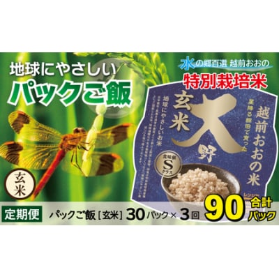 【3ヶ月定期便】地球にやさしいパックご飯 30食入り【玄米】× 3回　計90食　