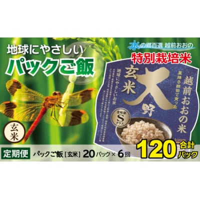 【6ヶ月定期便】地球にやさしいパックご飯 20食入り【玄米】× 6回　計120食