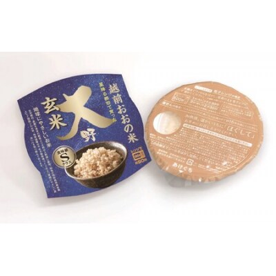 【6ヶ月定期便】地球にやさしいパックご飯 20食入り【玄米】× 6回　計120食