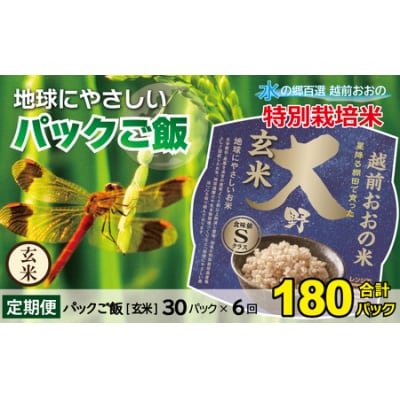 【6ヶ月定期便】地球にやさしいパックご飯 30食入り【玄米】× 6回　計180食