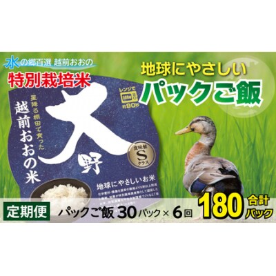 【6ヶ月定期便】地球にやさしいパックご飯 30食入り【白米】× 6回　計180食