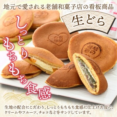 お菓子のひろせ店長お勧め「生どらバラエティMIXセット10個入り」