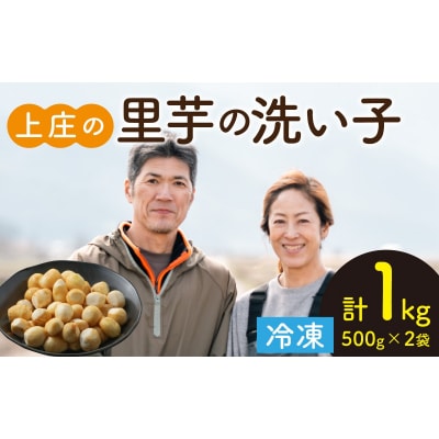 【先行予約】皮むきいらず、煮っ転がしに最適!上庄の里芋の洗い子 1kg【冷凍】