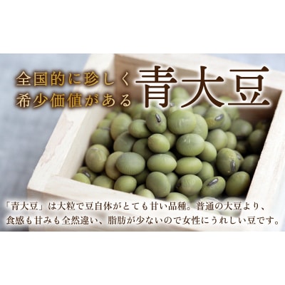 青大豆 赤大豆 厳選大粒豆セット 計2kg