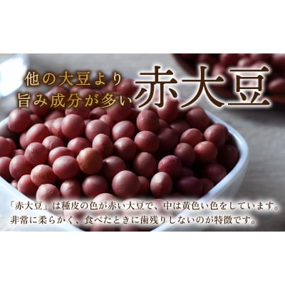 青大豆 赤大豆 厳選大粒豆セット 計2kg