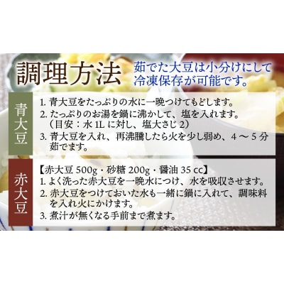 青大豆 赤大豆 厳選大粒豆セット 計2kg