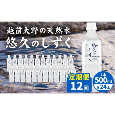 【12ヶ月連続お届け】越前大野の天然水　悠久のしずく PET500ml × 24本×12回配送　計2