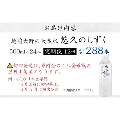 【12ヶ月連続お届け】越前大野の天然水　悠久のしずく PET500ml × 24本×12回配送　計2