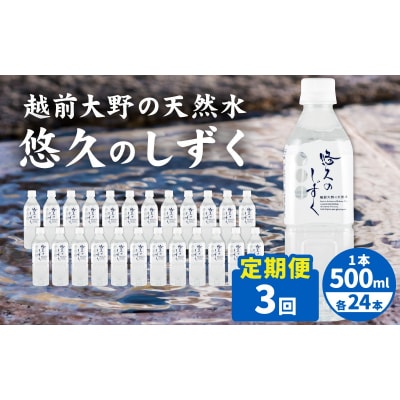 【3ヶ月連続お届け】越前大野の天然水　悠久のしずく PET500ml × 24本×3回配送　計72本
