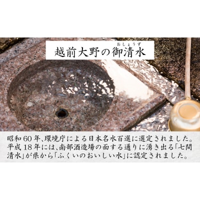 【3ヶ月連続お届け】越前大野の天然水　悠久のしずく PET500ml × 24本×3回配送　計72本
